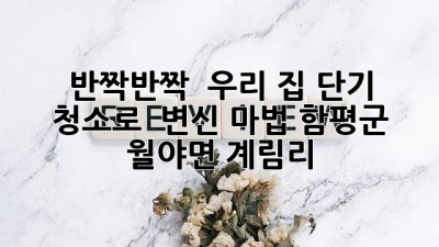 ✨ 반짝반짝 ✨ 우리 집, 단기 청소로 🏡 변신 마법! (함평군 월야면 계림리)
